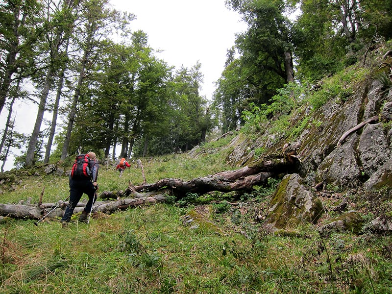 langwandspitze